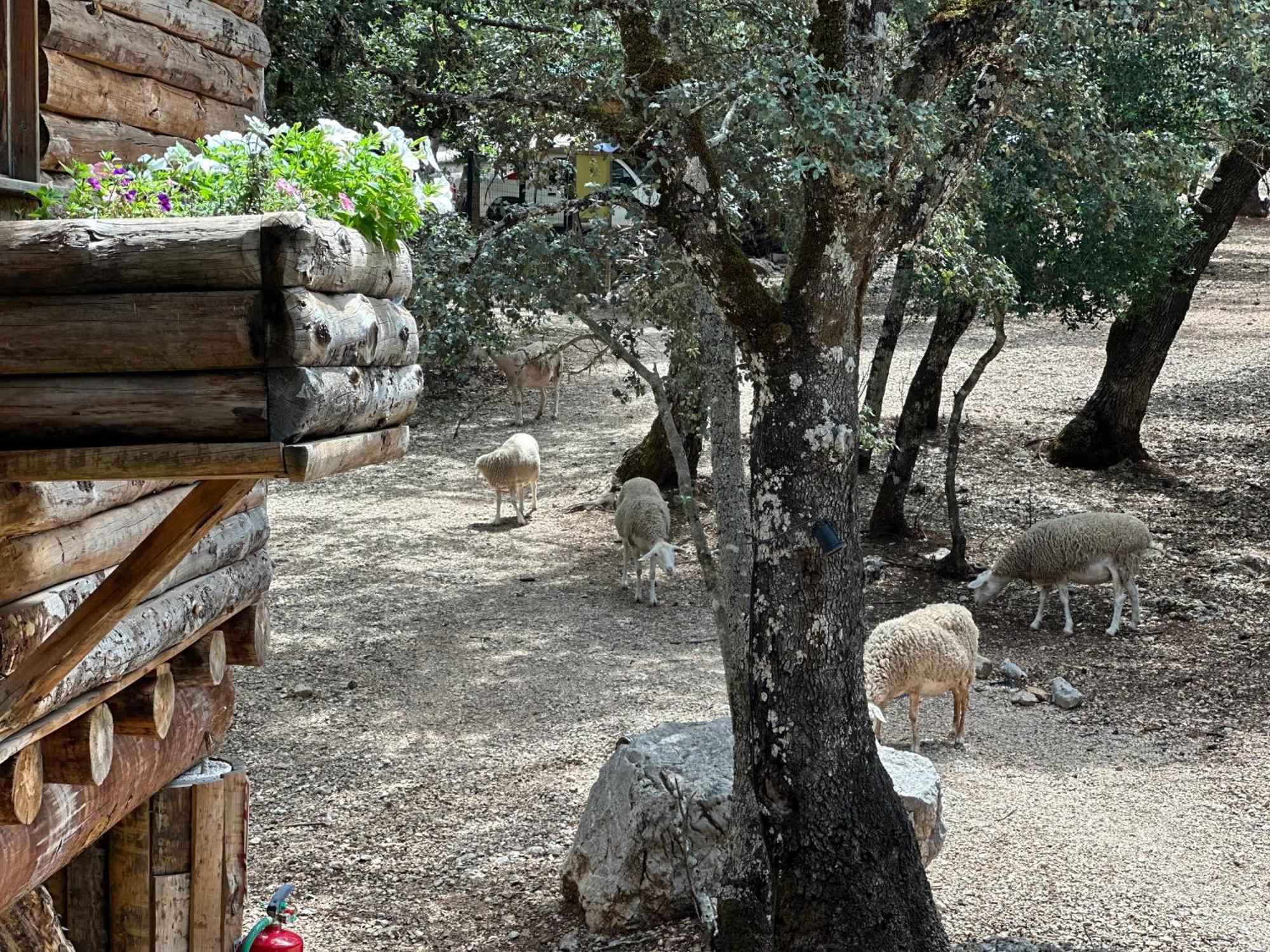 Hotel Rural Convento Santa Maria De La Sierra Arroyo Frio Kültér fotó